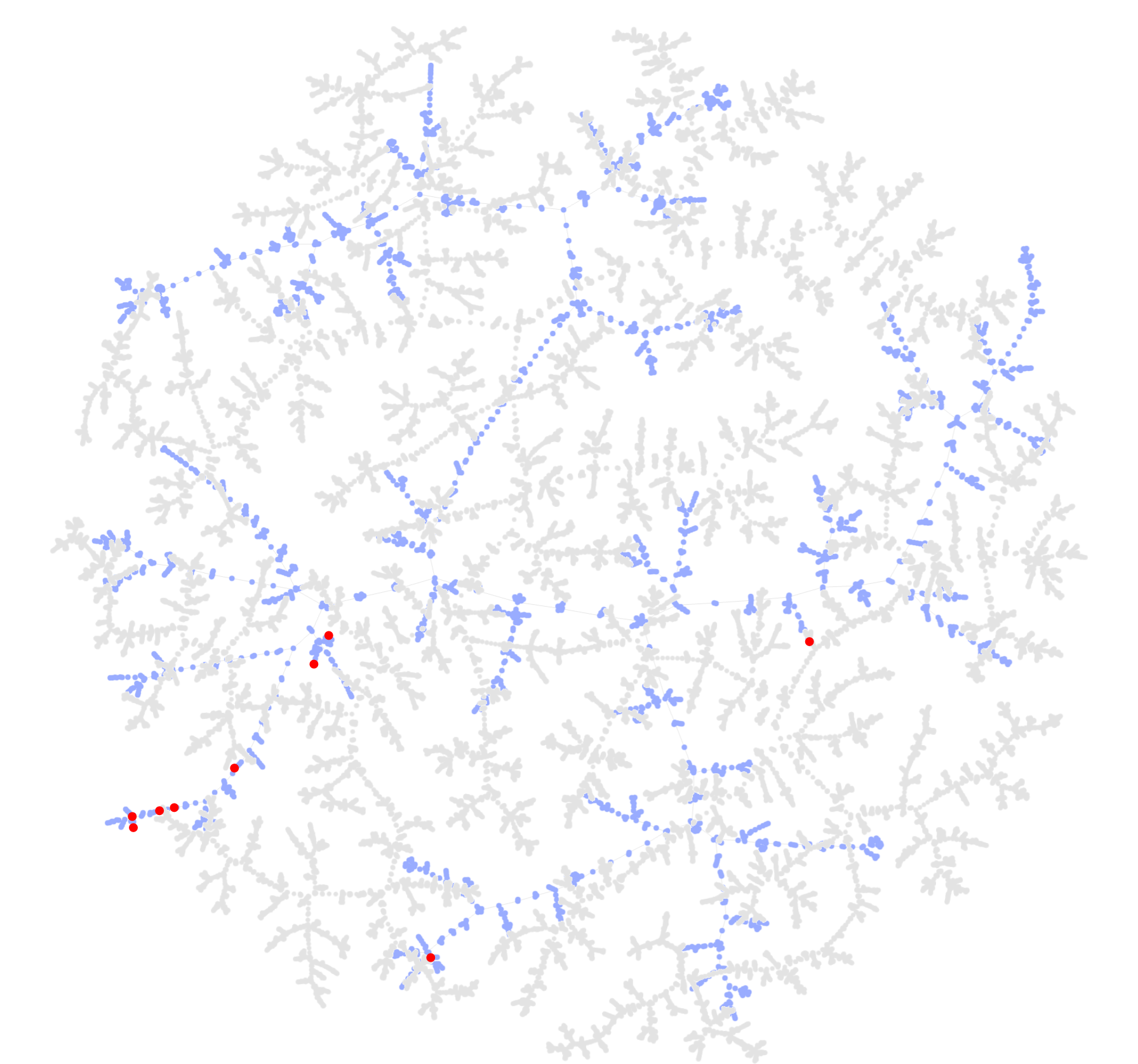 Elevate Discovered Natural Actives
