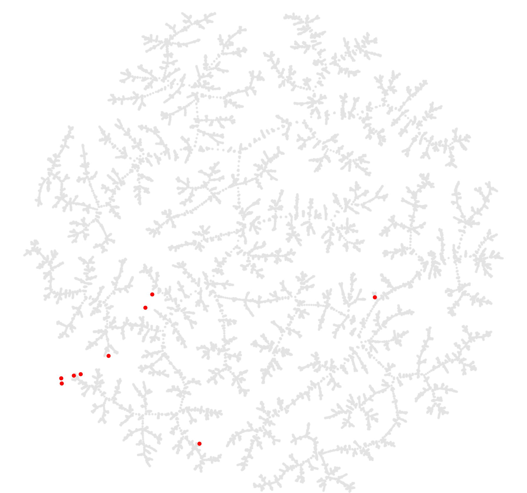 Known Natural Actives